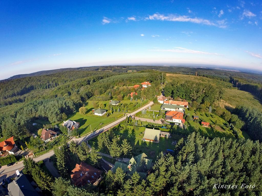 Gosztola Gyoengye-Az Erdo Szallodaja Exteriér fotografie